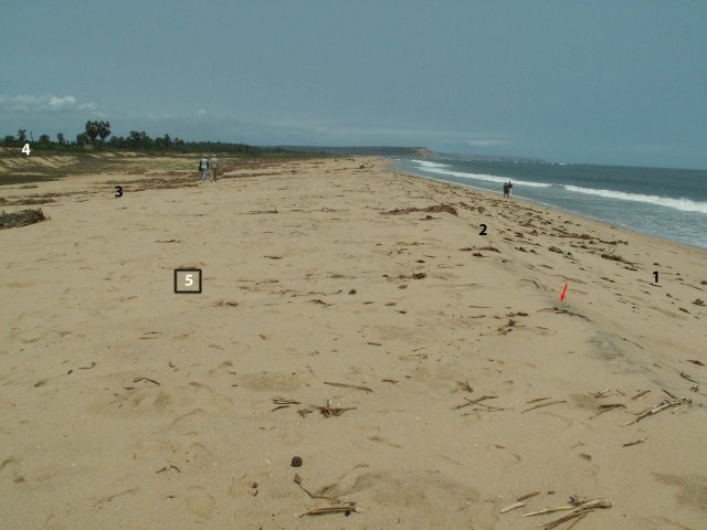 Kwanza beach photo