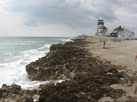 Beach photo of the Anastasia Formation in Hutchinson Island, Florida.