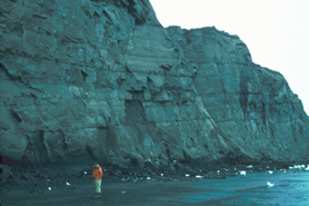 Coastal cliffs 