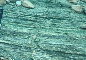 Layered glauconitic sandstone