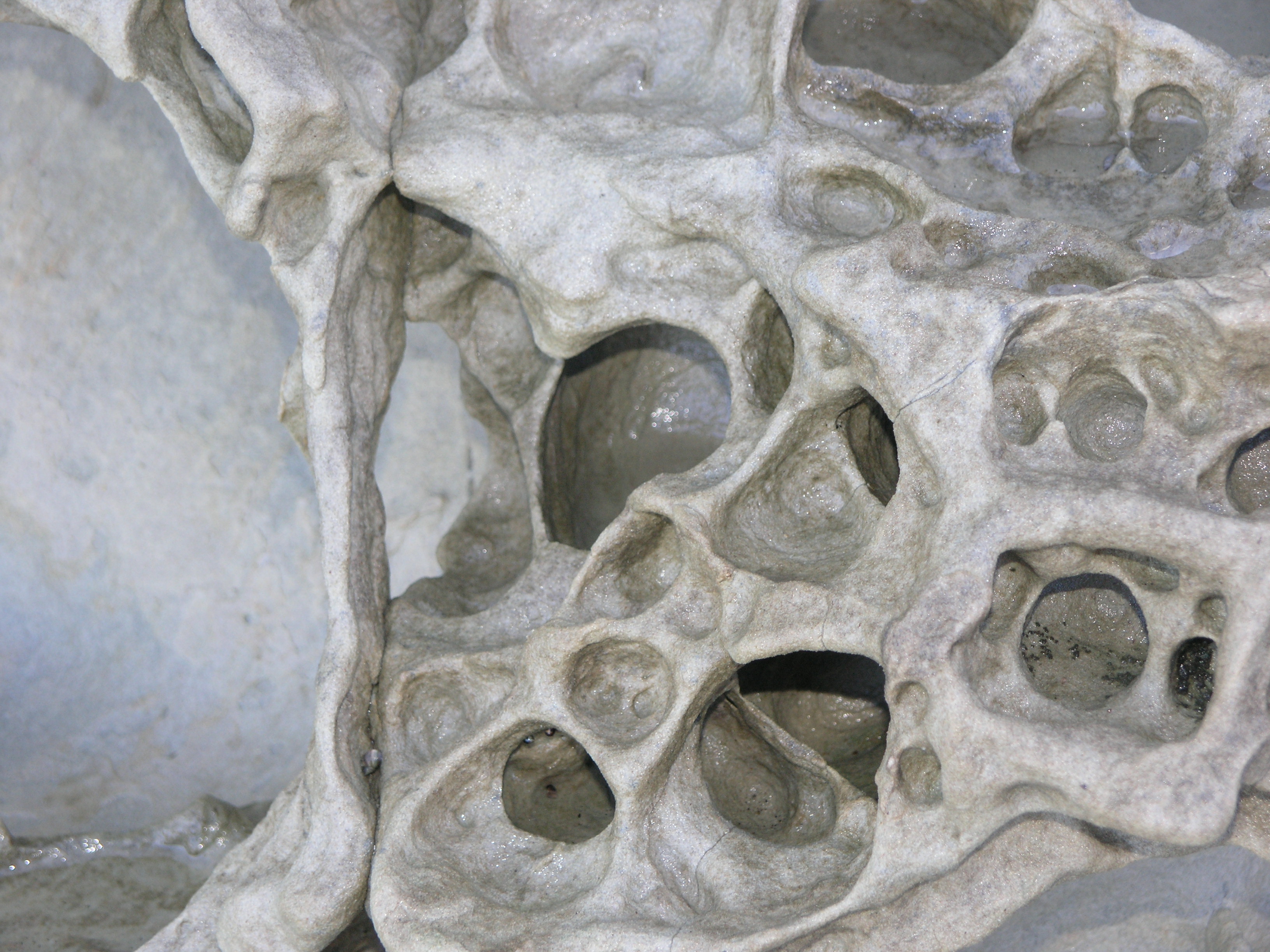 detail of honeycomb weathering